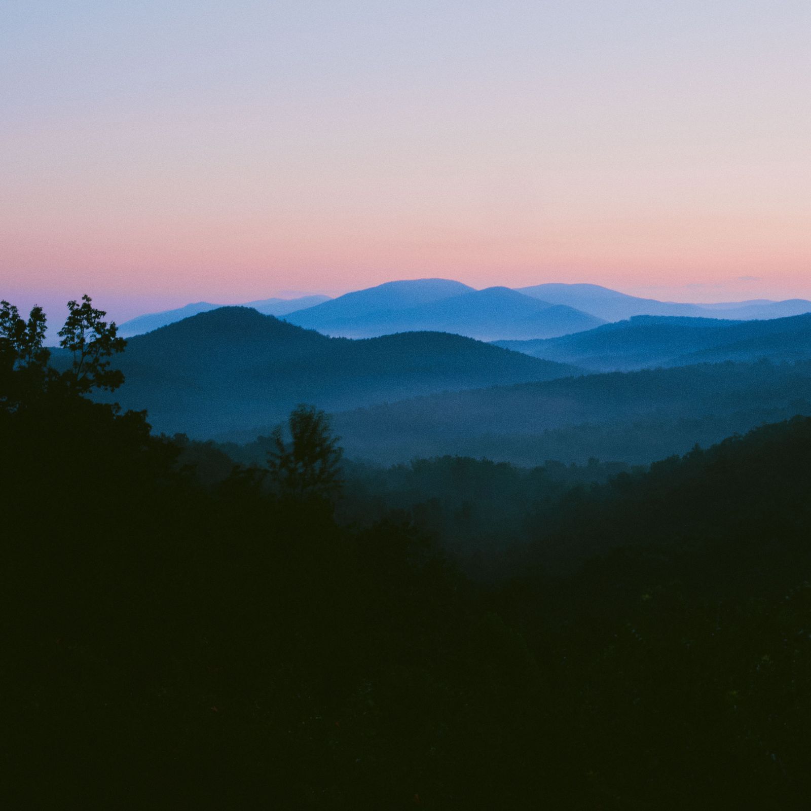 It’s a Fine Time for American Wine